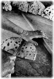 il taglio (bn_cornice).jpg (47742 byte)