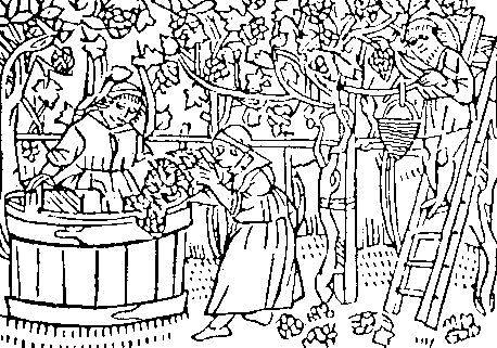 vendemmia.gif (13562 byte)